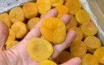 Dried Apricot