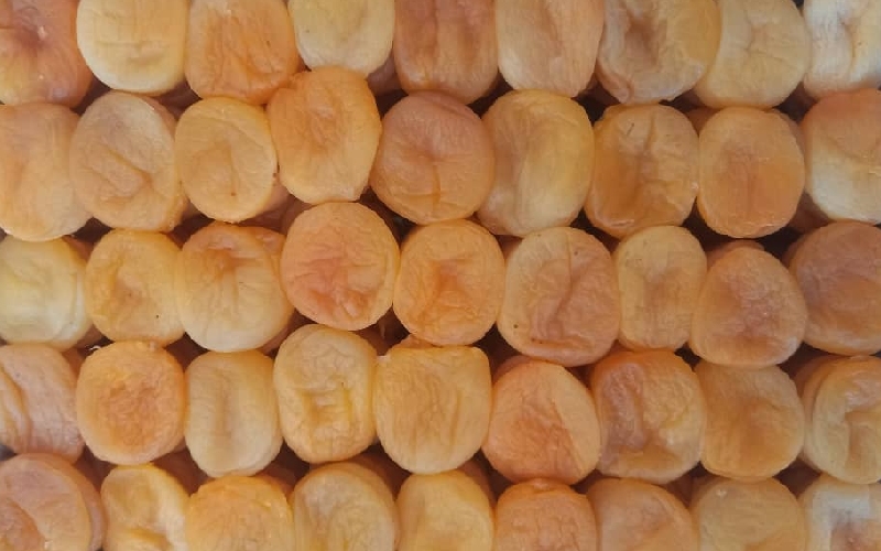 Dried Apricot for export