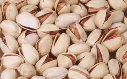 Kalle-ghouchi (Jumbo) Pistachio