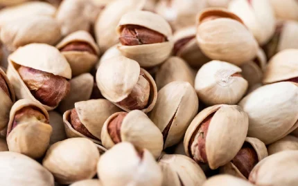 Round Pistachio (Fandoghi)