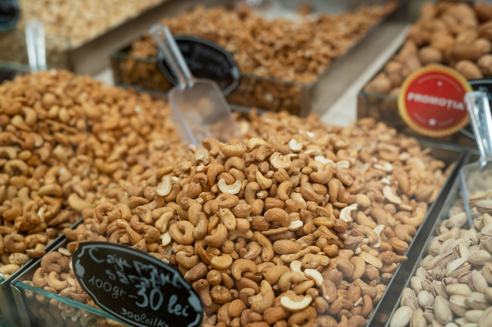 Best Logistic Routes for Iranian Nuts Export to Europe