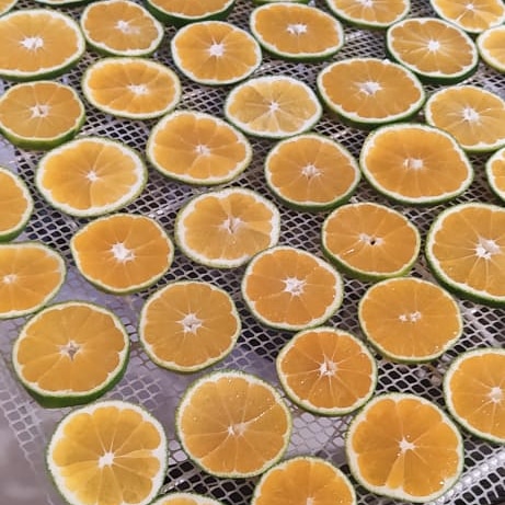 Iranian Dried Orange