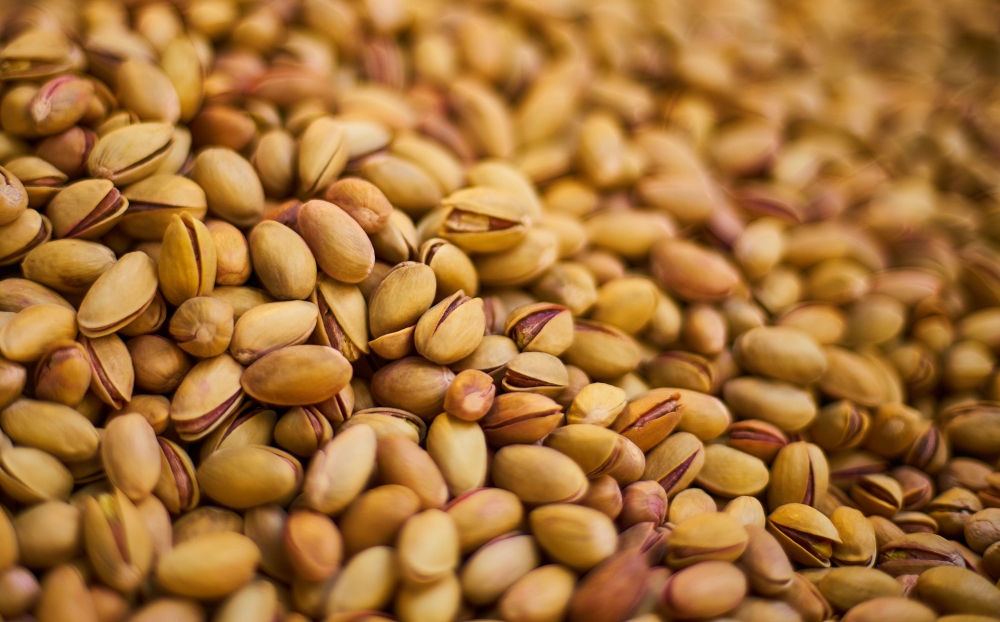 Export of Ahmad Aghaei Pistachios to the Middle East and North Africa