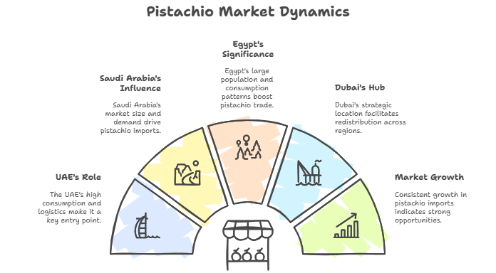 Evaluating Demand Across MENA Markets
