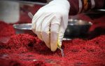 iranian Saffron