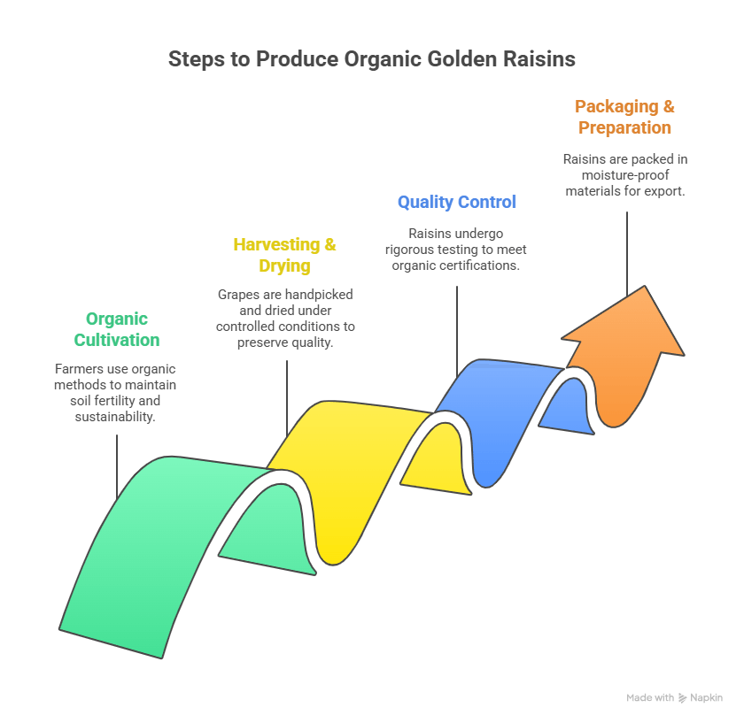 Detailed Steps in Producing Iranian Organic Golden Raisins