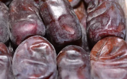 Mazafati dates