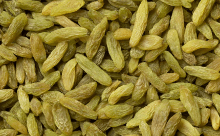 Long Green Raisin
