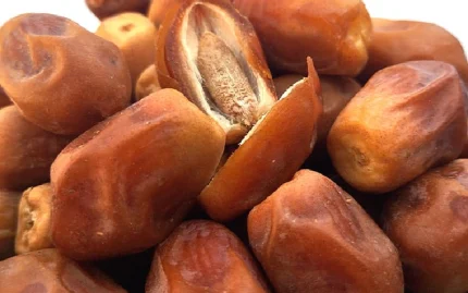 Zahedi Dates