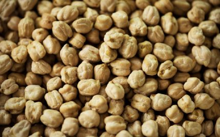 Chickpea