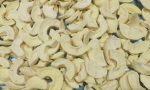 Freeze Dried Apple