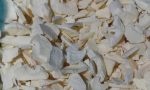 freeze Dried Apple