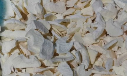 freeze Dried Apple