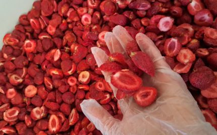 Freeze Dried Strawberries