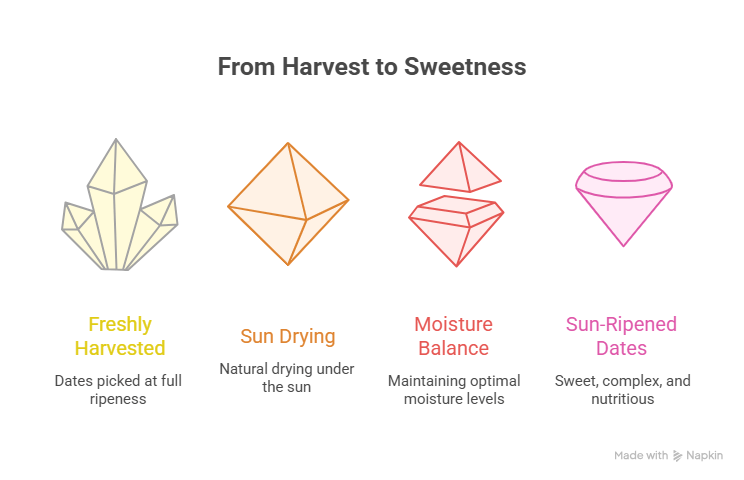 Naturally Harvested and Sun-Ripened for Rich Flavor