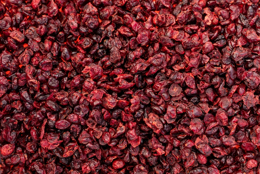 Global and Iran Dried Cherry Prices