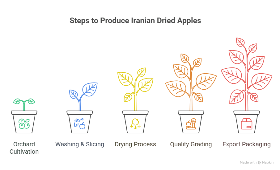 The Production Process of Iranian Dried Apples: From Orchard to Packaging