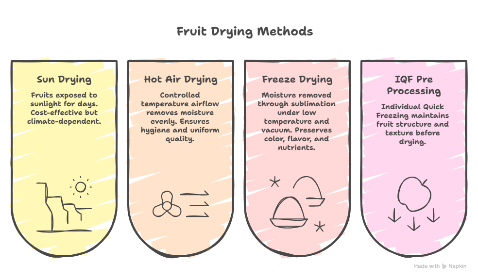 Fruit Drying Process Explained Step by Step for Global Export Market