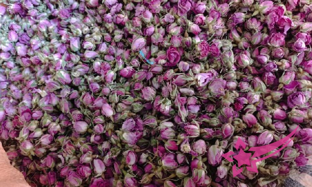 Dried Rose Bud