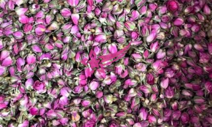 dry red rose buds exporter